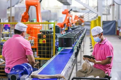 全省唯一 大益上榜全國第二批 工業(yè)圖強 企業(yè)史志鑒優(yōu)秀名單