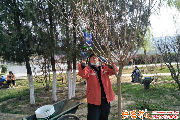 土壤貧瘠用什么補(bǔ)營養(yǎng)？大樹營養(yǎng)液精華推薦與果樹養(yǎng)護(hù)指南